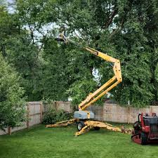 Best Arborist Consultation Services  in Pueblo West, CO